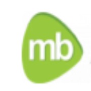 Magnet Brains Software Technology Pvt. Ltd.